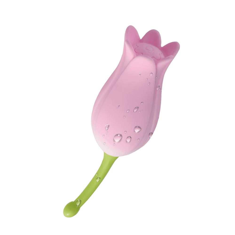 [단종] 오터치 줄리엣