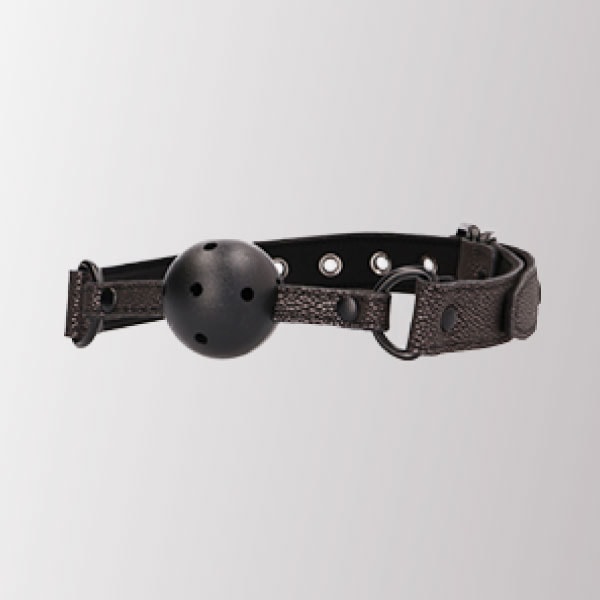 [단종]엘레강스 재갈[네덜란드]