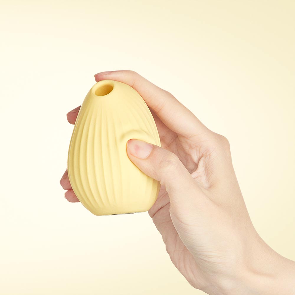 로마 스토어 커들리 버드 체험단 이벤트