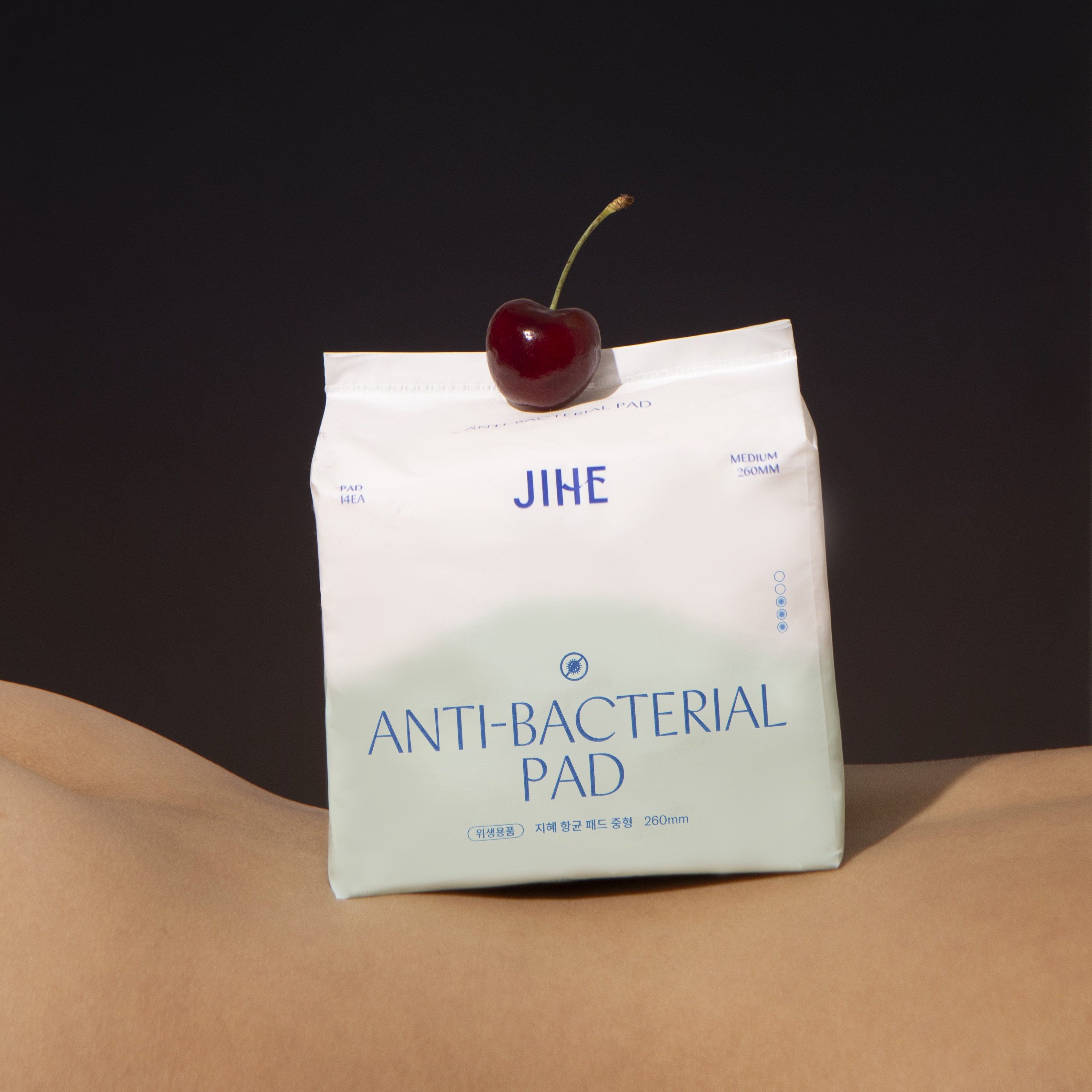 지혜 향균패드 [중형]