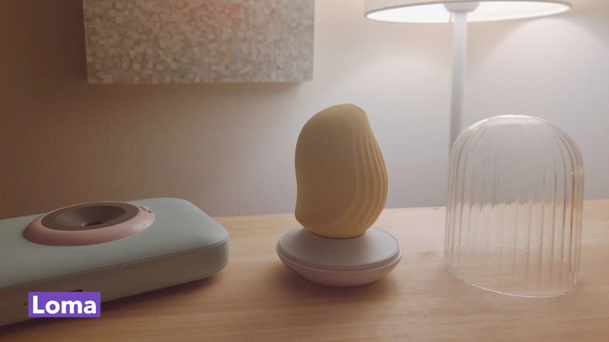 에블린의 커들리 버드와 함께한 하루