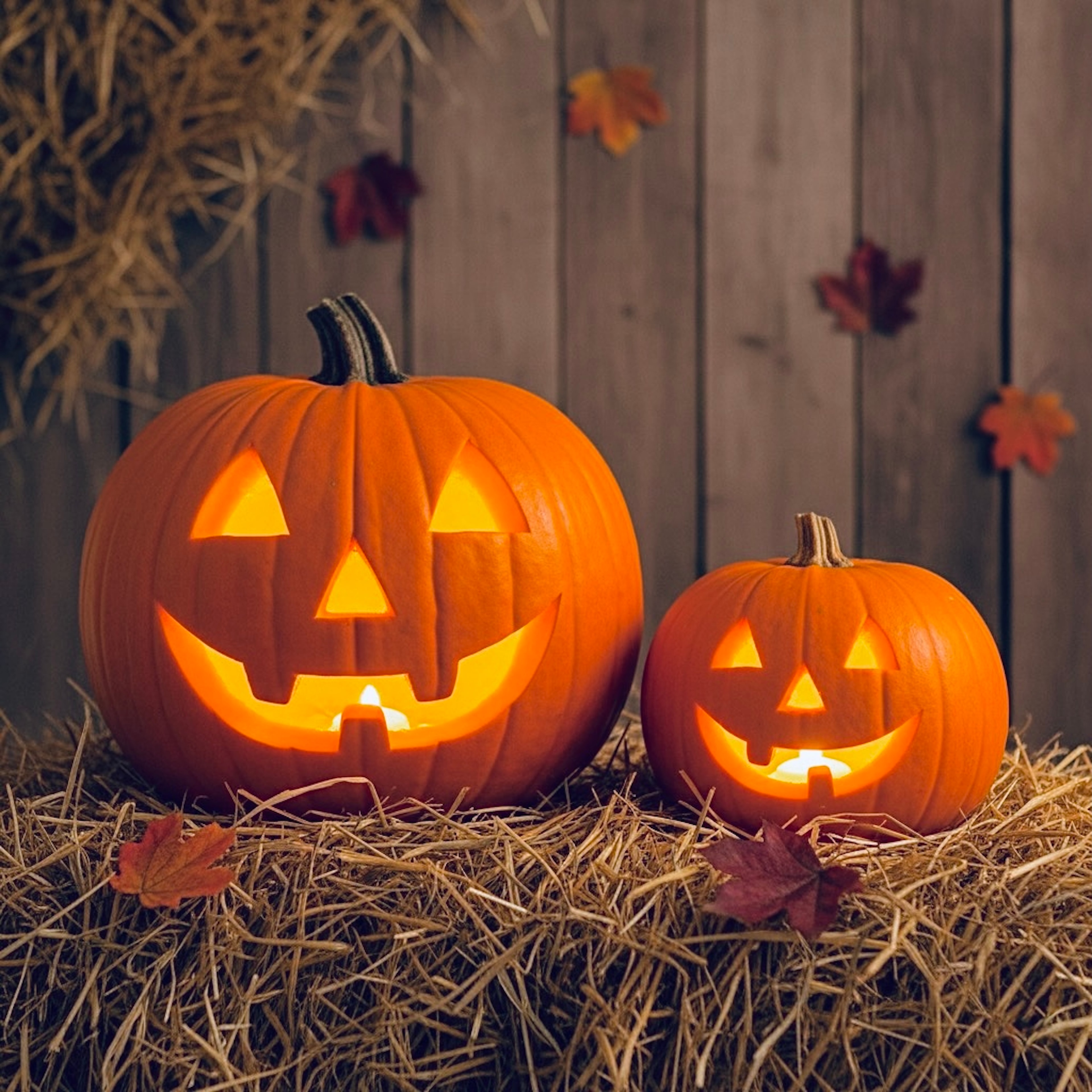 연인에게 할로윈데이 선물로 섹스토이를 줄 수 있다? 없다?