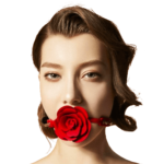 업코 장미 재갈