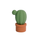 마페토 팟