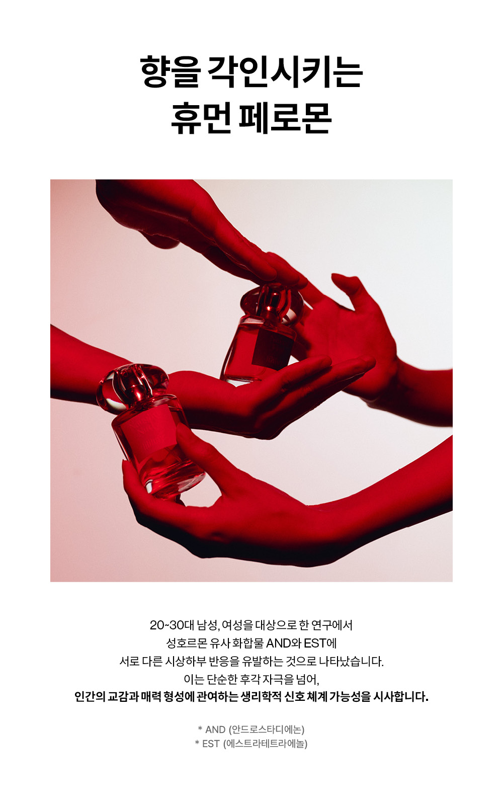 릴리루피 향수 디테일 이미지, 브랜드 퍼퓸 제품 구성